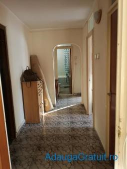 Case - Apartamente de inchiriat - 320 EUR