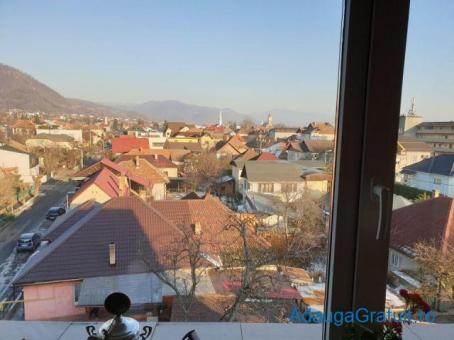 Case - Apartamente de inchiriat - 350 EUR
