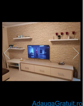 Case - Apartamente de inchiriat - 300 EUR