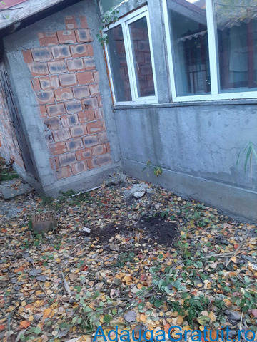 Case - Apartamente de vanzare - 75 EUR