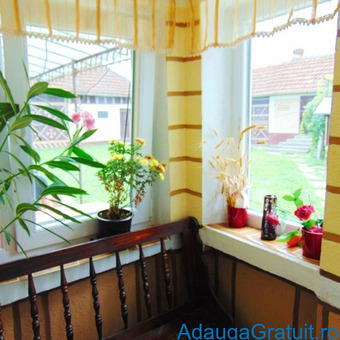 Case - Apartamente de vanzare - 50000 EUR