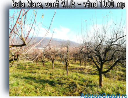 Teren de Vanzare - 120000 EUR