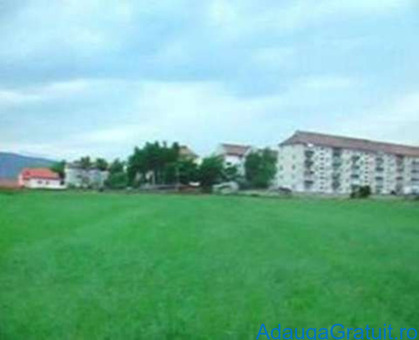 Teren de Vanzare - 10 EUR