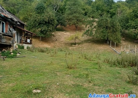 Teren, casă și grajd de vânzare.