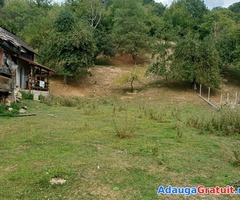Teren, casă și grajd de vânzare.